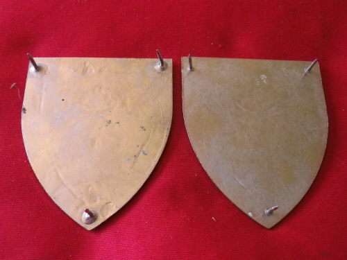 SADF - 1 SPECIAL SERVICE BATTALION  PAIR OF FLASHES        (4915)