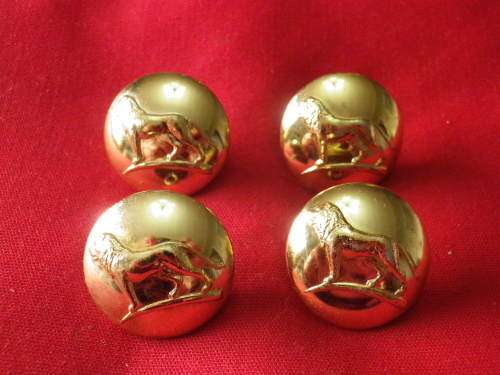 RHODESIAN SPORT REPRESENTATIVE -  4 X LARGE ANODISED TUNIC BUTTONS OD 23mm        (8011)