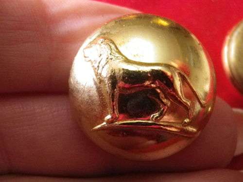 RHODESIAN SPORT REPRESENTATIVE -  4 X LARGE ANODISED TUNIC BUTTONS OD 23mm        (8011)