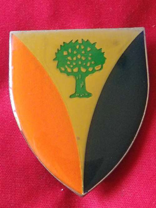 SADF - REGIMENT VRYSTAAT FLASH                      (4072)