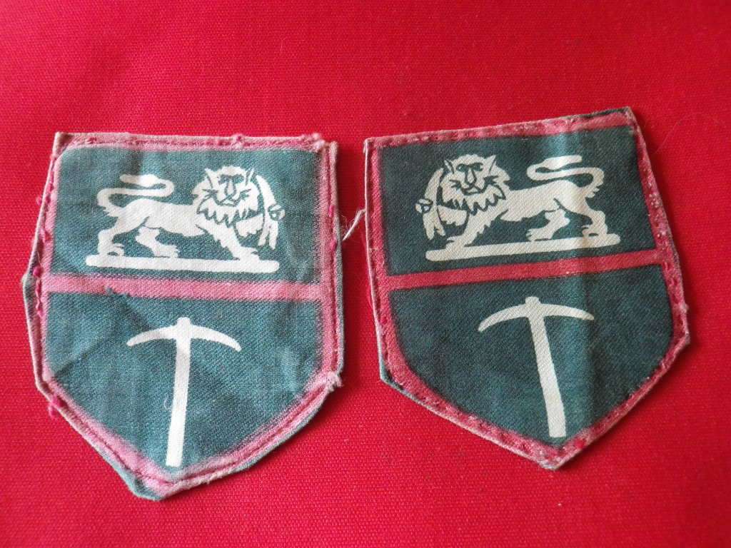 RHODESIAN ARMY - FACING PAIR PRINTED SHOULDER PATCHES      (8269)