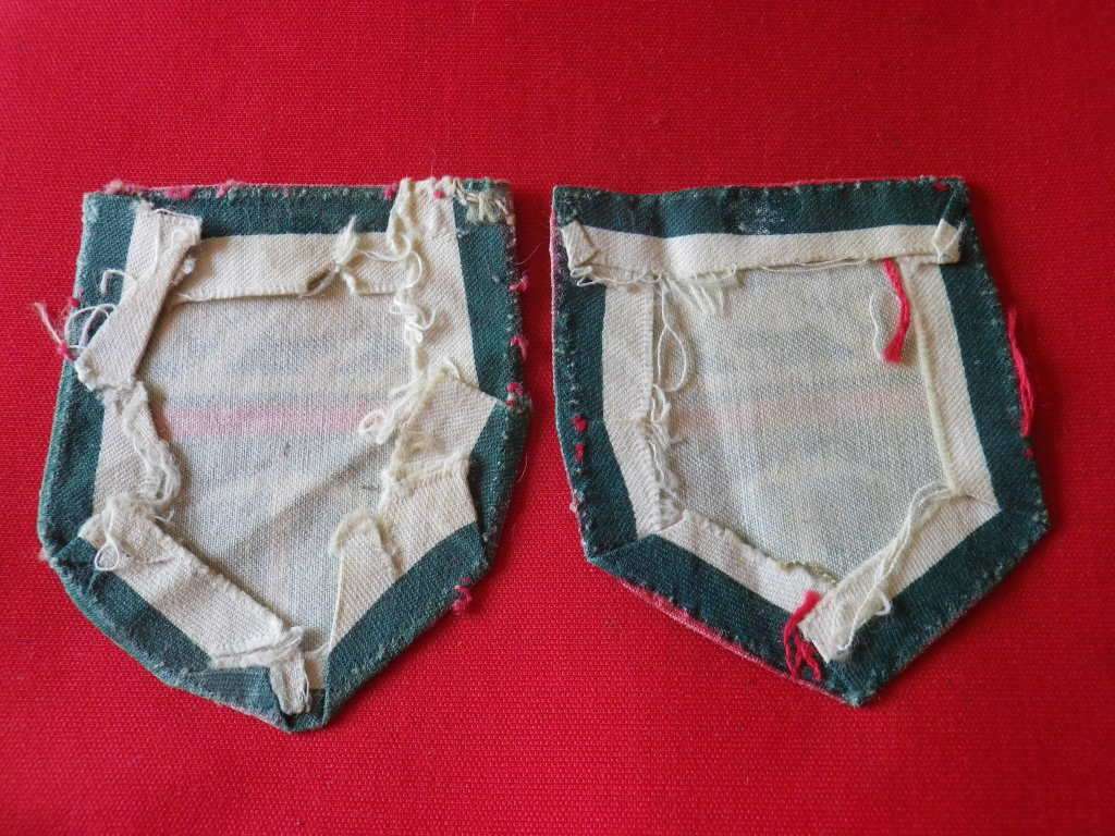 RHODESIAN ARMY - FACING PAIR PRINTED SHOULDER PATCHES      (8269)