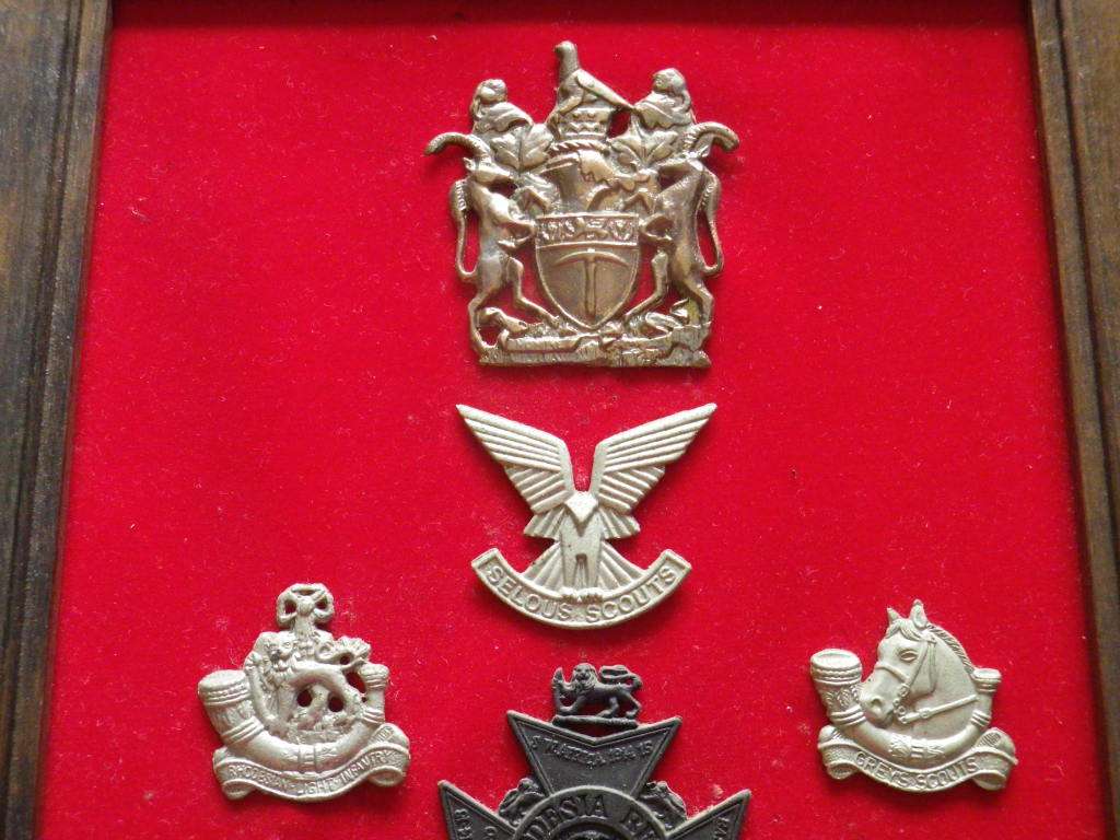 RHODESIAN ARMED FORCES - 32 UNIT BADGES (CAST COPIES)  ON DISPLAY FRAME - SIZE 71 X 21 cm.  (8318)