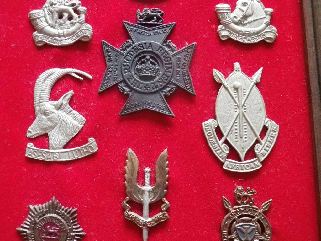 RHODESIAN ARMED FORCES - 32 UNIT BADGES (CAST COPIES)  ON DISPLAY FRAME - SIZE 71 X 21 cm.  (8318)