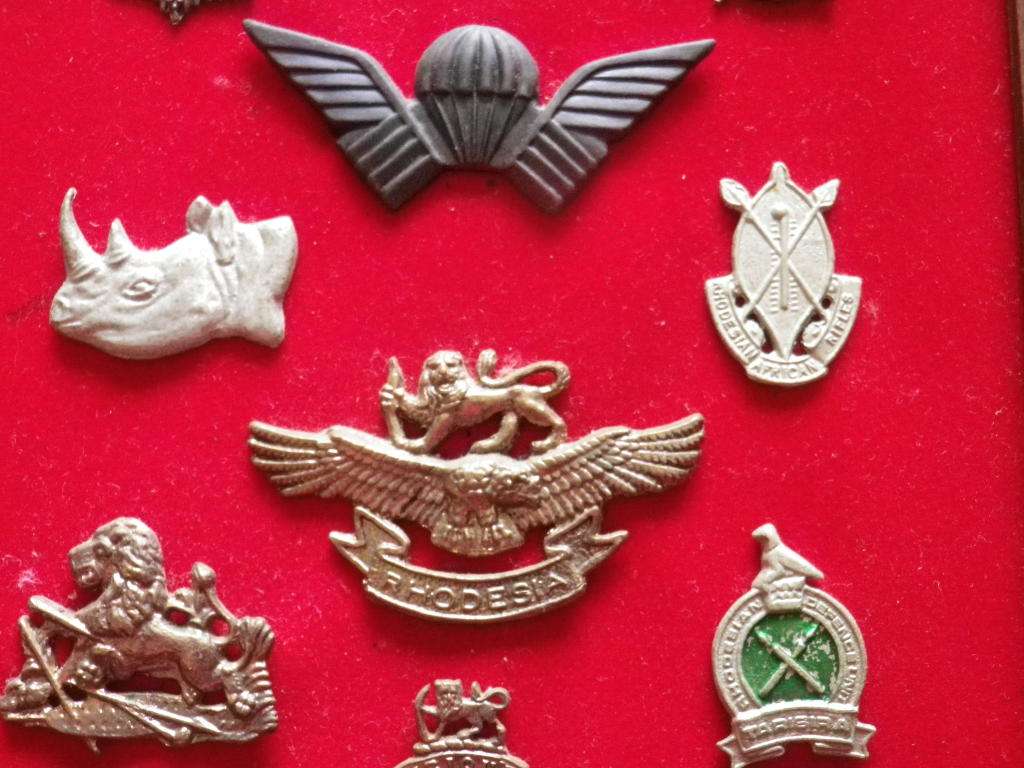 RHODESIAN ARMED FORCES - 32 UNIT BADGES (CAST COPIES)  ON DISPLAY FRAME - SIZE 71 X 21 cm.  (8318)
