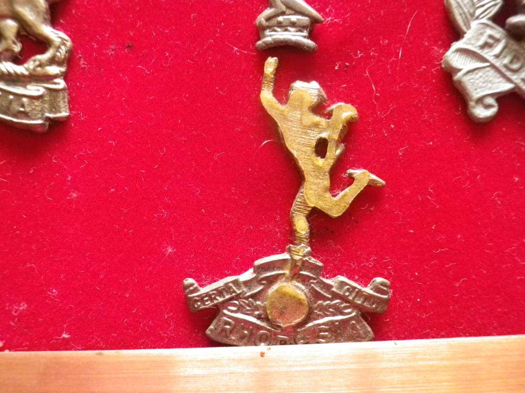 RHODESIAN ARMED FORCES - 32 UNIT BADGES (CAST COPIES)  ON DISPLAY FRAME - SIZE 71 X 21 cm.  (8318)