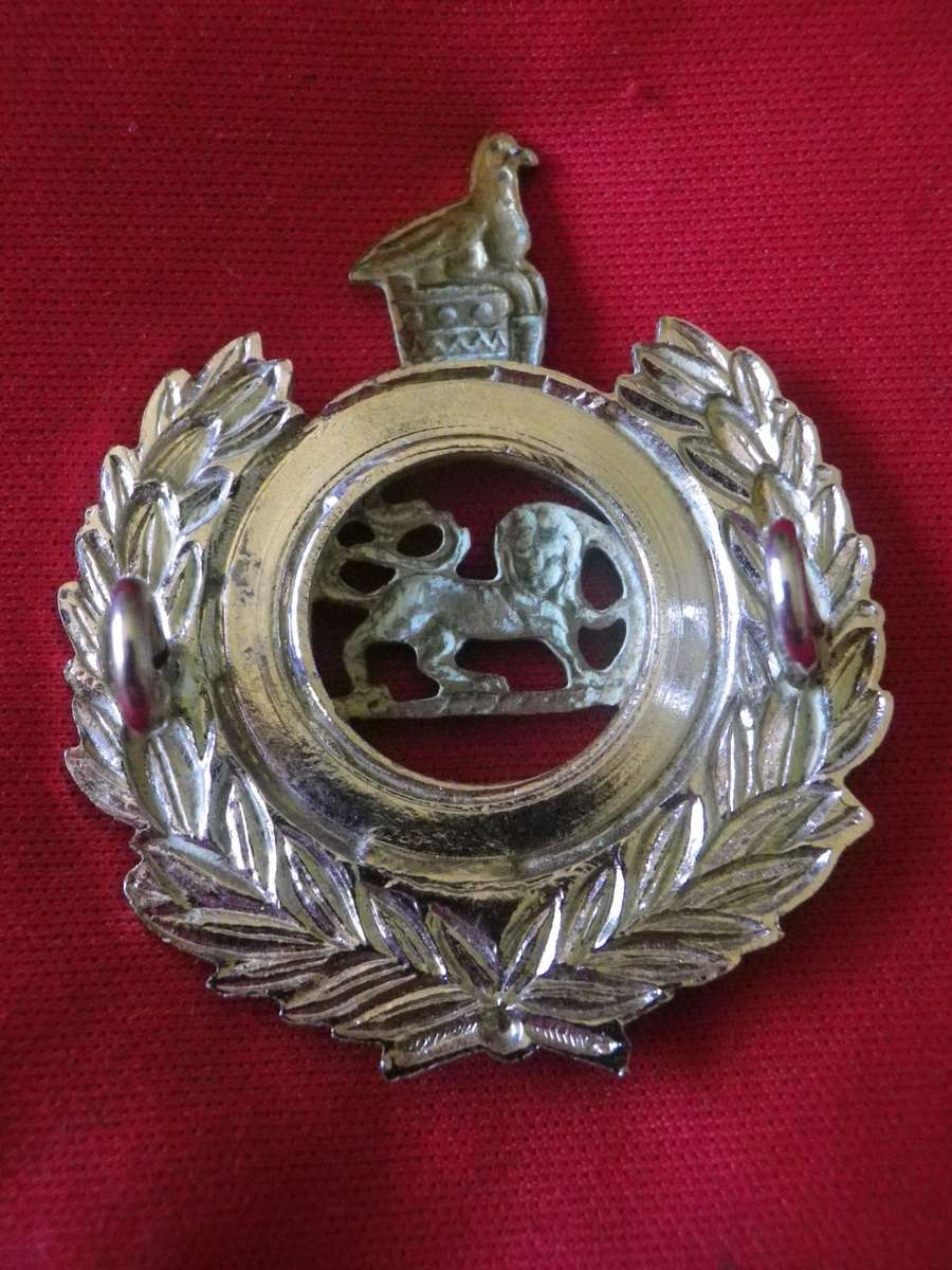 RHODESIAN CORPS OF ENGINEERS - BI METAL CAP BADGE                 (8324)