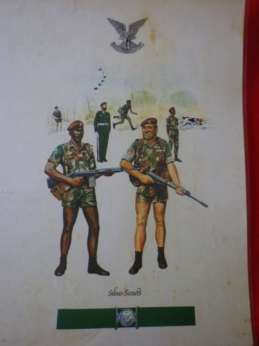 RHODESIA - SELOUS SCOUTS LAMINATED SHEET FROM `UNIFORMS RHOD SEC. FORCES`  - SIZE 44 X 62cm  (4172)
