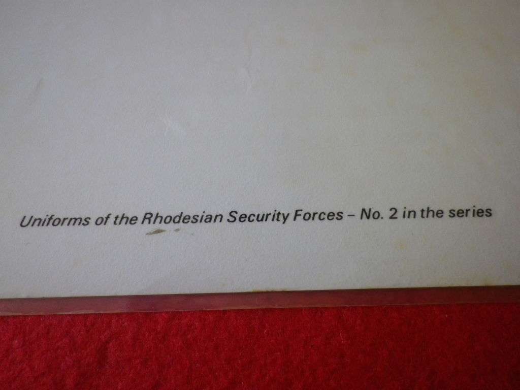 RHODESIA - SELOUS SCOUTS LAMINATED SHEET FROM `UNIFORMS RHOD SEC. FORCES`  - SIZE 44 X 62cm  (4172)