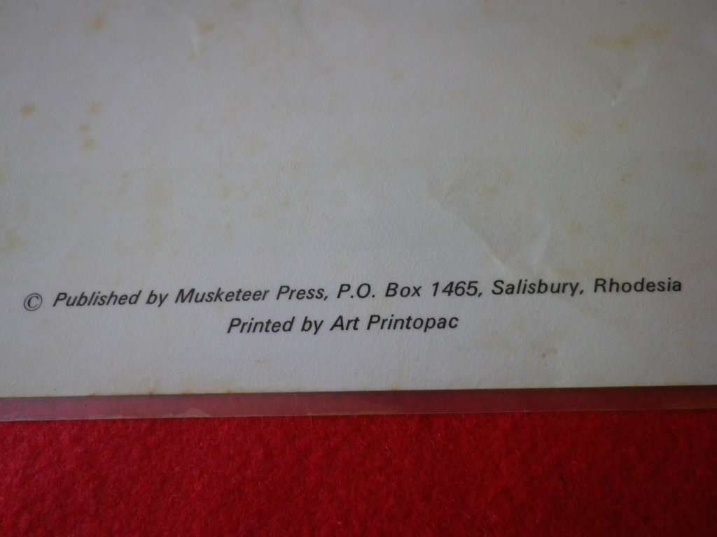 RHODESIA - SELOUS SCOUTS LAMINATED SHEET FROM `UNIFORMS RHOD SEC. FORCES`  - SIZE 44 X 62cm  (4172)