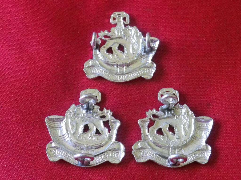 RHODESIAN LIGHT INFANTRY - SET CAP + FACING PAIR ANODISED COLLAR BADGES          (8375)