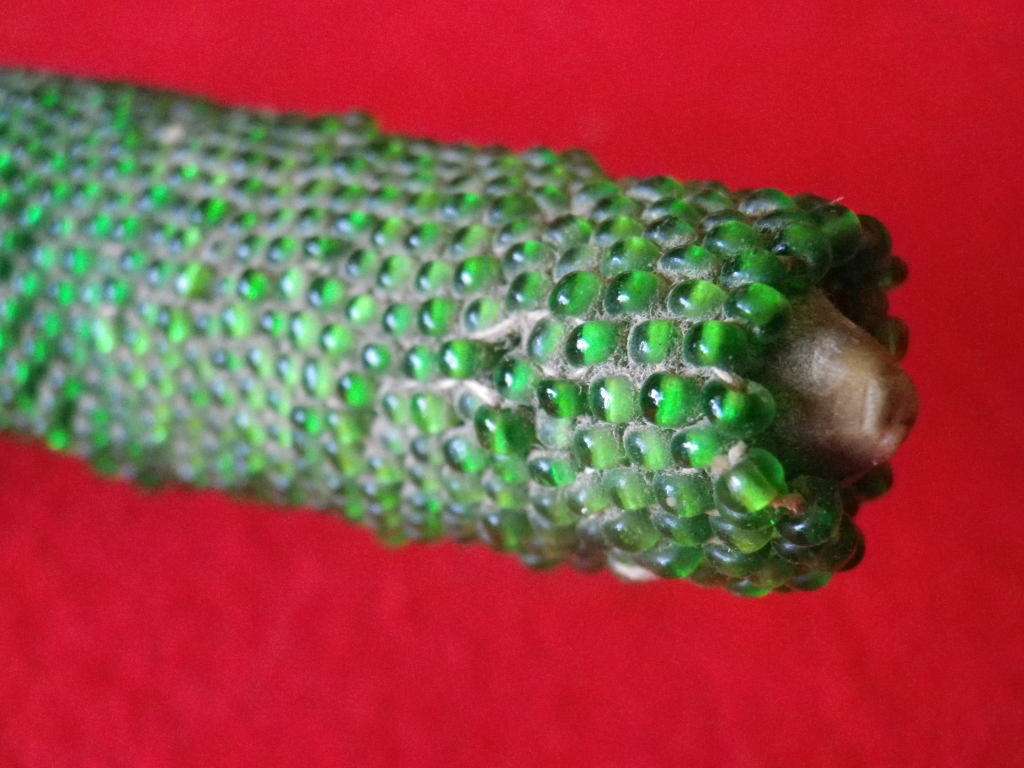 RHODESIA - EARLY NDEBELE POWDER HORN - BEADED + ORIGINAL STOPPER - FROM MATOPOS AREA       (8608)