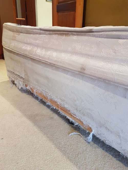 Double Bed with Base & Mattress / Bargain Bid! Priced to Sell!