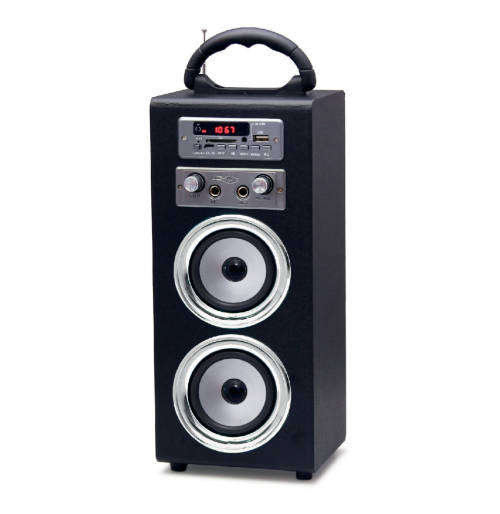 Polaroid Portable Karaoke Speaker with FM Radio & Bluetooth