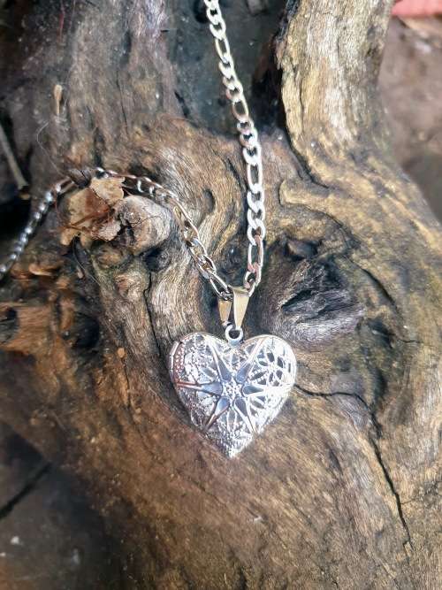 Vampire diaries Caroline Forbes inspired Vervain heart stainless steel Locket on chain