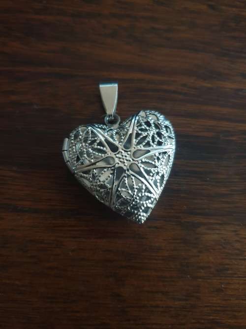 Vampire diaries Caroline Forbes inspired Vervain heart stainless steel Locket on chain