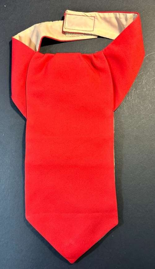 SADF - South West Africa Territory Forces (SWATF) Cravat