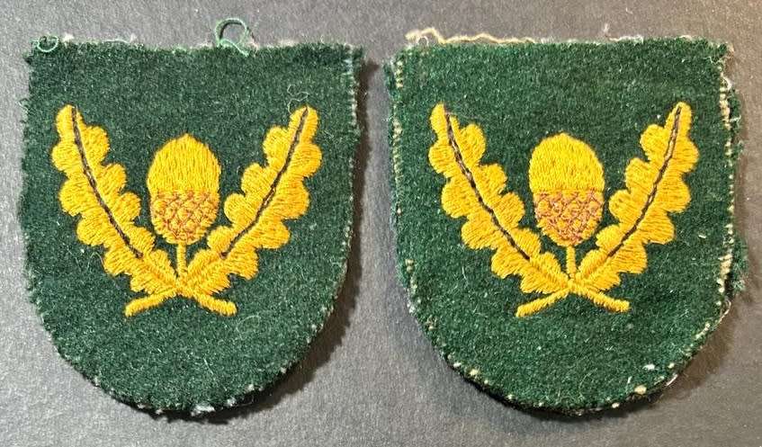 SADF - Stellenbosch University Regiment Shoulder Flashes