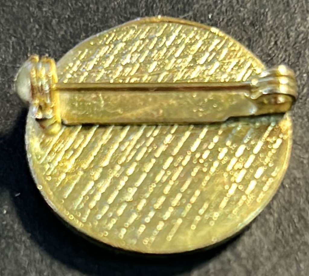 AWB - The Afrikaner Weerstandsbeweging  - Afrikaner Resistence Movement Badge