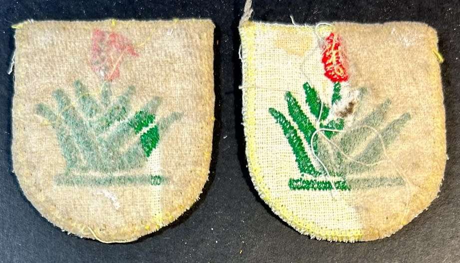 SADF - Karoo Commando Shoulder Flashes