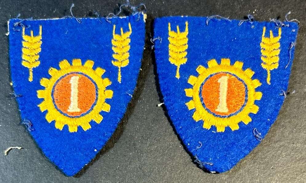 SADF - 1 Maintenance Unit Shoulder Flashes