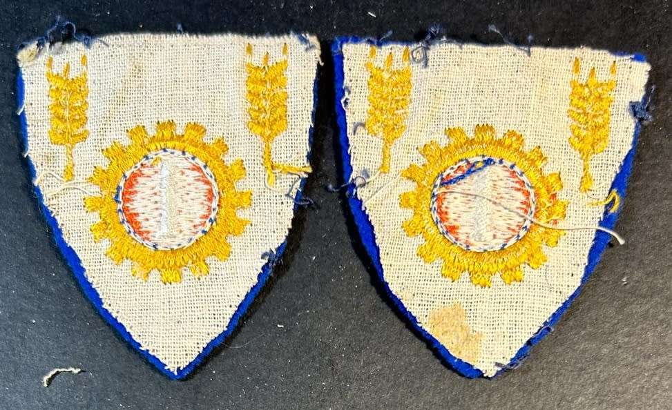 SADF - 1 Maintenance Unit Shoulder Flashes