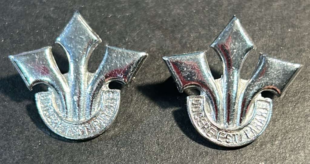 SADF - Corps of Proffesional Officers Collars