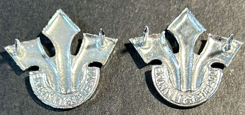 SADF - Corps of Proffesional Officers Collars