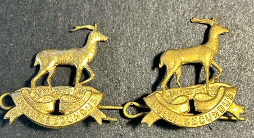 SADF - Regiment Pretoria Collar Badges