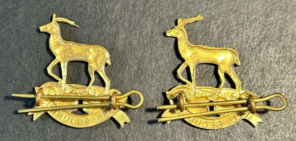 SADF - Regiment Pretoria Collar Badges