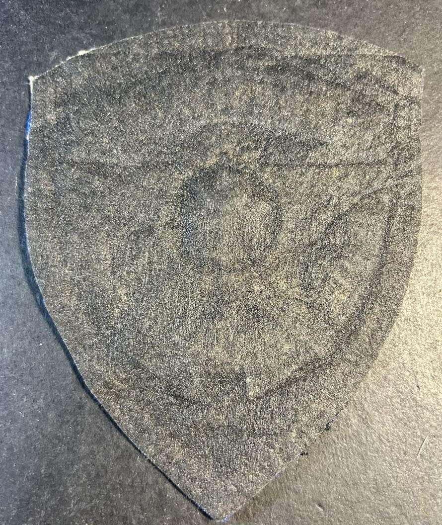 Pretoria Traffic Department Arm Flash