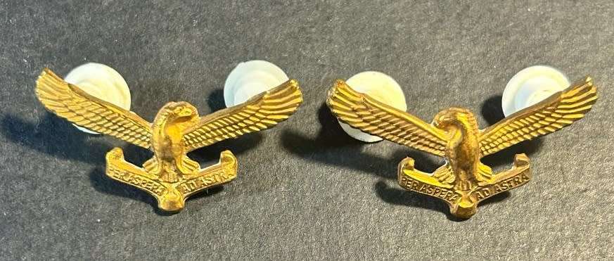 SADF - Air Force Collars