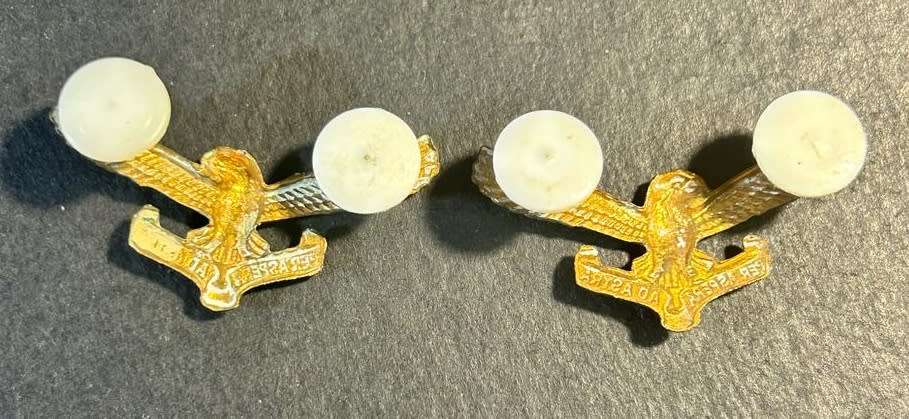 SADF - Air Force Collars