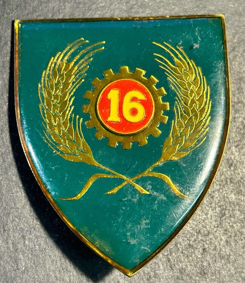 SADF - 16 Maintenance Unit Shoulder Flash
