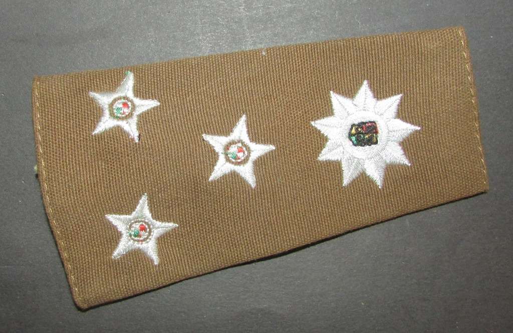 SA Army Slip on Rank