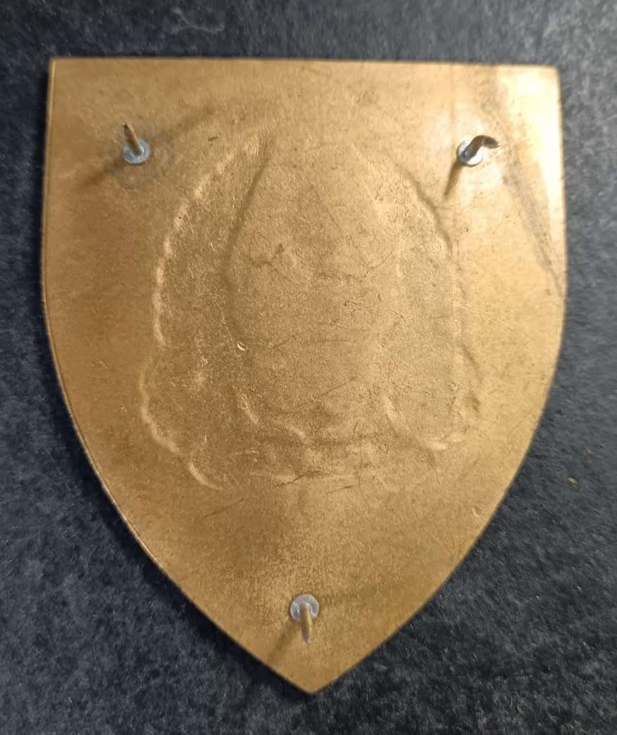 SADF - Army Gymnasium Shoulder Flash