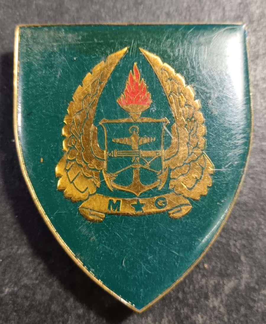 SADF - Army Gymnasium Shoulder Flash