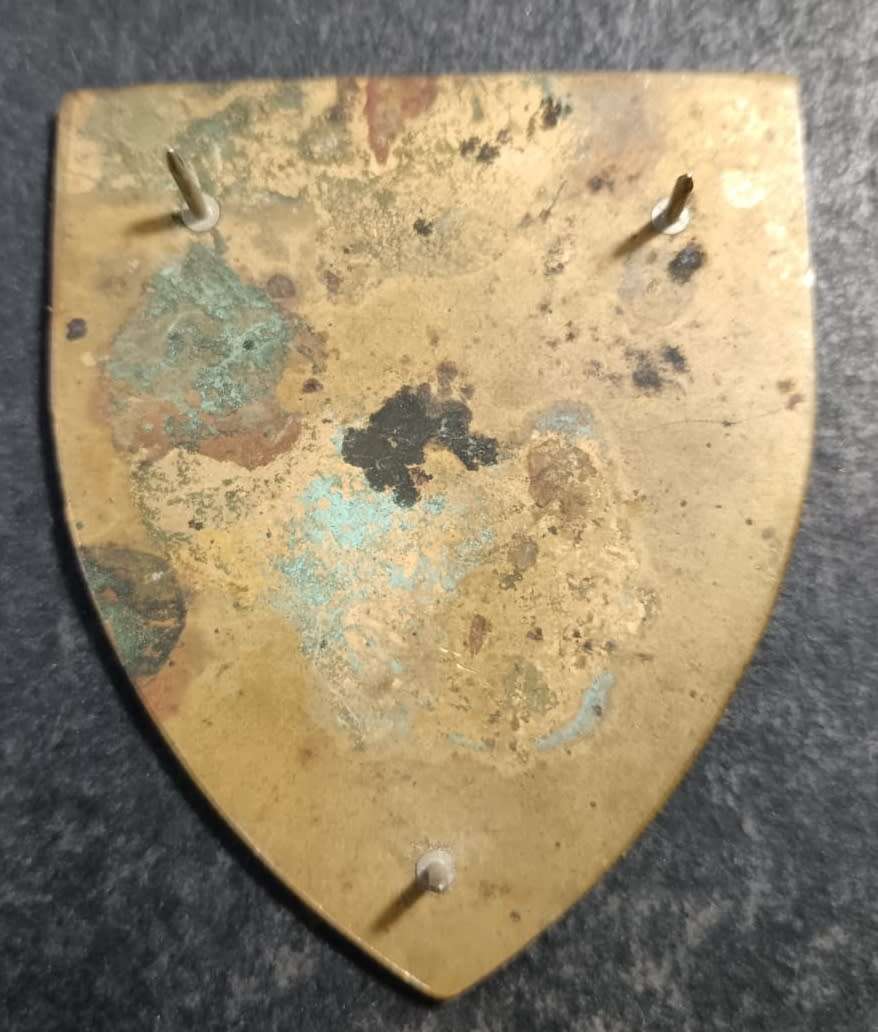 SADF - Army Gymnasium Shoulder Flash