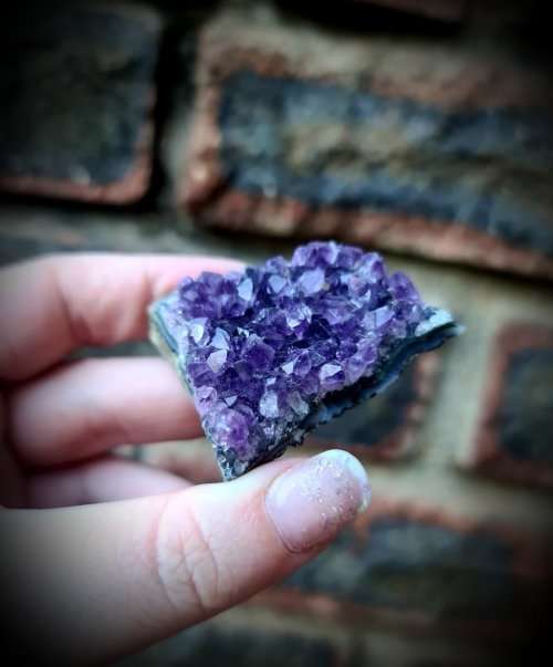 Amethyst Mini Druse #1