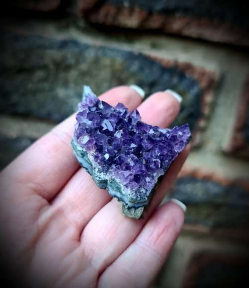 Amethyst Mini Druse #1