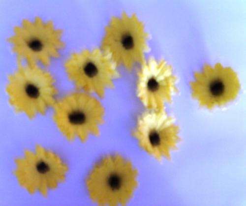 HUGE LOT OF EMBELLISHMENTS