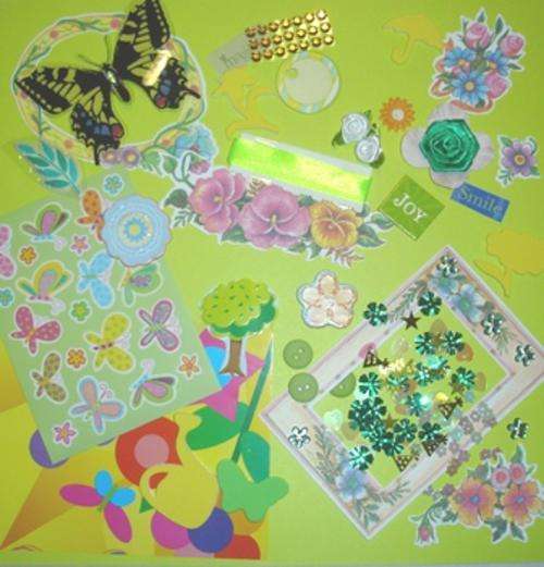 Nature and Butterflies Kit (Fun Goodies & Great Buy)