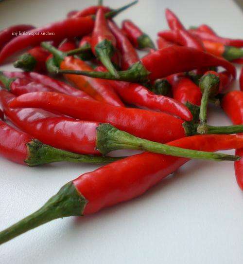 Hot and Spicy Recipe Book