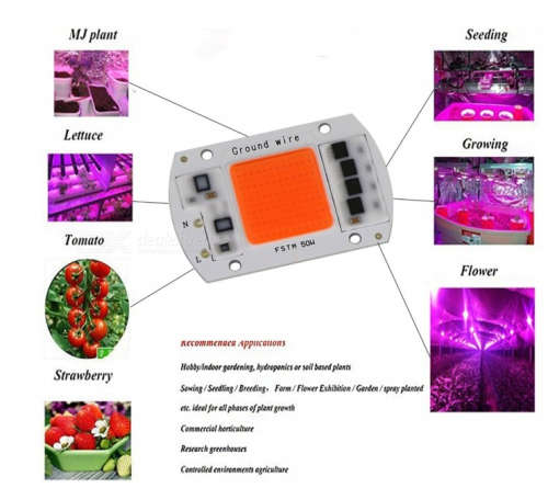 Portable 50W AC220V LED Grow Chip with Full Spectrum 380nm-840nm for Indoor LED Grow Light