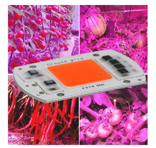 Portable 50W AC220V LED Grow Chip with Full Spectrum 380nm-840nm for Indoor LED Grow Light