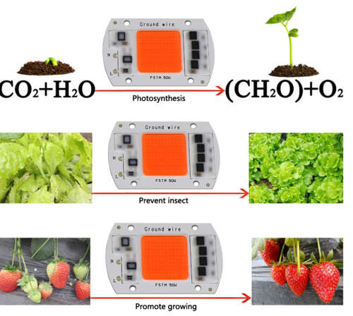 Portable 50W AC220V LED Grow Chip with Full Spectrum 380nm-840nm for Indoor LED Grow Light