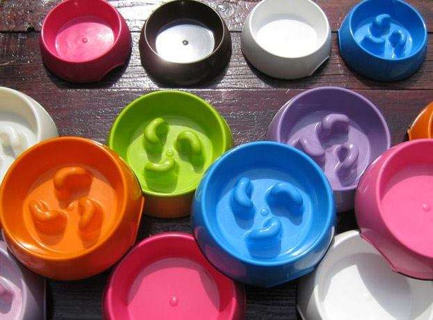 Dogma Slow Feed Dog Bowl