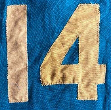 Springbok Rugby Jersey