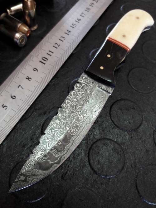 Handmade DAMASCUS steel Knife with Camel bone and bull horn handle. R1 start, No reserve auction.