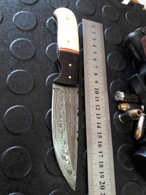 Handmade DAMASCUS steel Knife with Camel bone and bull horn handle. R1 start, No reserve auction.